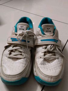 Sega Cricket Stud Shoe For player