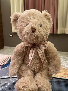 Cute Teddy Bear