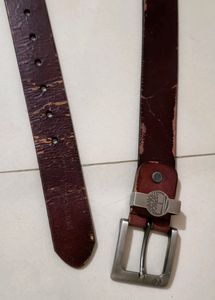 Timberland Belt