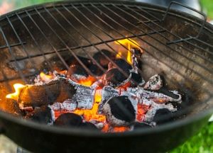 Natural Coal For Dhoop And Making tandoori