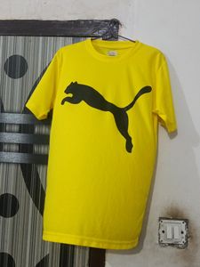 M Size