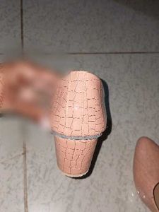 Elegant Pink Ballerinas