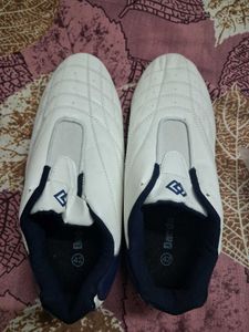 Taekwondo Daedo Met Shoes