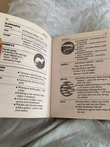 the Little Encyclopaedia Of Superstitions