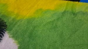 Super Soft Panda Print Velvet Double Bedsheet