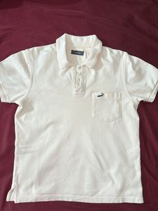 Crocodile Polo Tshirt (S) Size