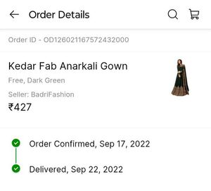 beutiful gown for festive wear