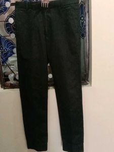 Formal Pant