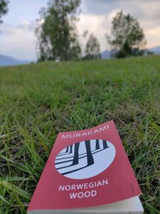 🆕 Norwegian Wood Book Paperback By Murakami