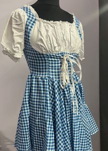 Vintage Blue Dress