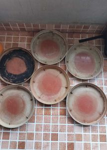 Set Of 6 Planter Plate