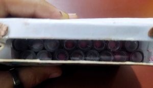 Just Herbs Lipsticks Set