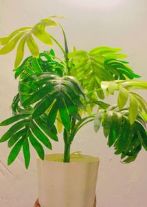 Artificial 🪴Plant