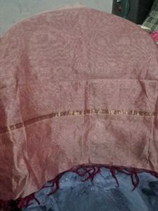 Organza Elegant Dupatta