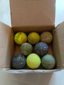 Used Tennis Balls - 8 Pack