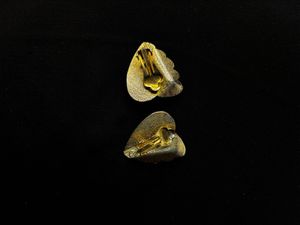 Black Stud Earrings