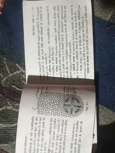 Biology NCERT - Class 11