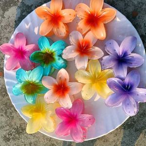 6 Pieces Of Pinteresty Hibiscus Flower Clips