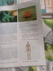 Essential Biology Fir Class 7th