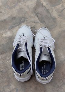 White Sneakers - Casual Style
