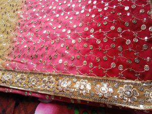 Saree 💗💚