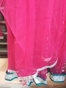 Pink Sequin Detail Dupatta