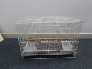 Cage For Birds