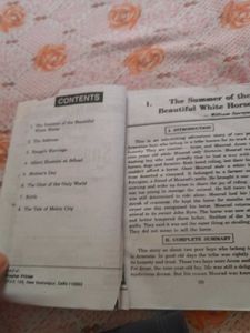 English Class 11 SNAPSHOT