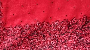 Red Embroidered Black Stone Saree