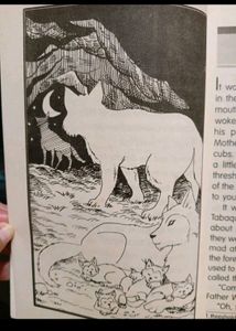 Story Book For Children