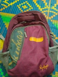 Skybags Backpack