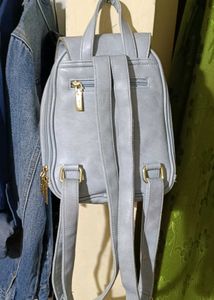 Perfect Everyday Bagpack