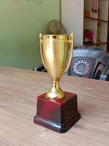 Cup Trophy Suitable For All Sports