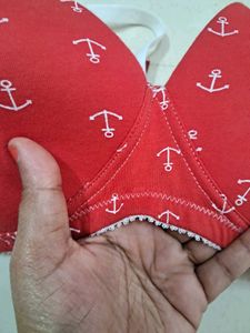 Lightly Padded Soft Envie Brand Bra