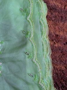 Light Green Floral Beaded Saree