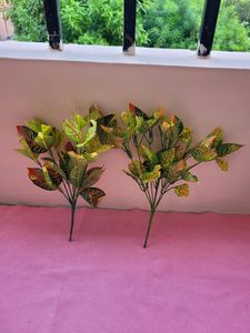 Green Red Shaded Leaf Set