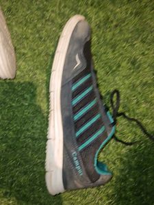 Campus Running Shoes
