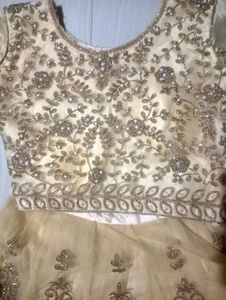 Elegant Gold Embroidered Lehenga Choli