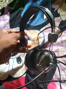 Zebronic Headphones with Microphone