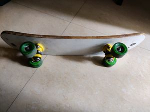 Kids Skate Board