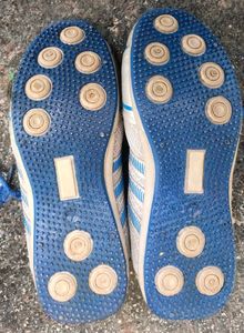 Sports Shoe