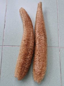 Natural Loofah Sponges (Set of 2)