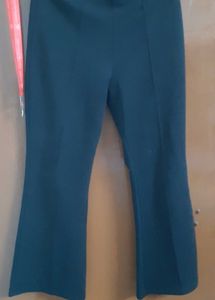 Plazo pant