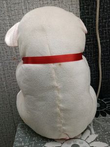 2 In 1 Teddy Bear