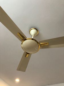 Ceiling Fan