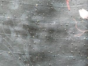 Kurta Digital Printed