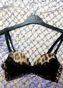Animalier Aimerfeel