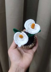 Crochet Calla Lily Plant