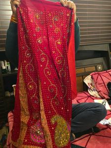 Elegant Red Embellished Saree