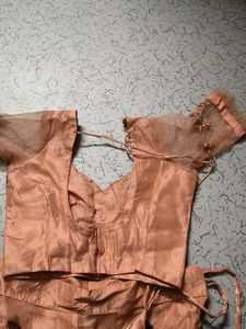 Peach Embroidered Lehenga Choli